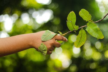 Klimaschutz im Unternehmen funktioniert nicht ohne eine klare Basis: die Berechnung des eigenen CO₂-Fußabdrucks. Nur wer weiß, wo und in welchem Umfang Emissionen entstehen, kann gezielt Maßnahmen entwickeln, um sie zu vermeiden oder zu reduzieren.